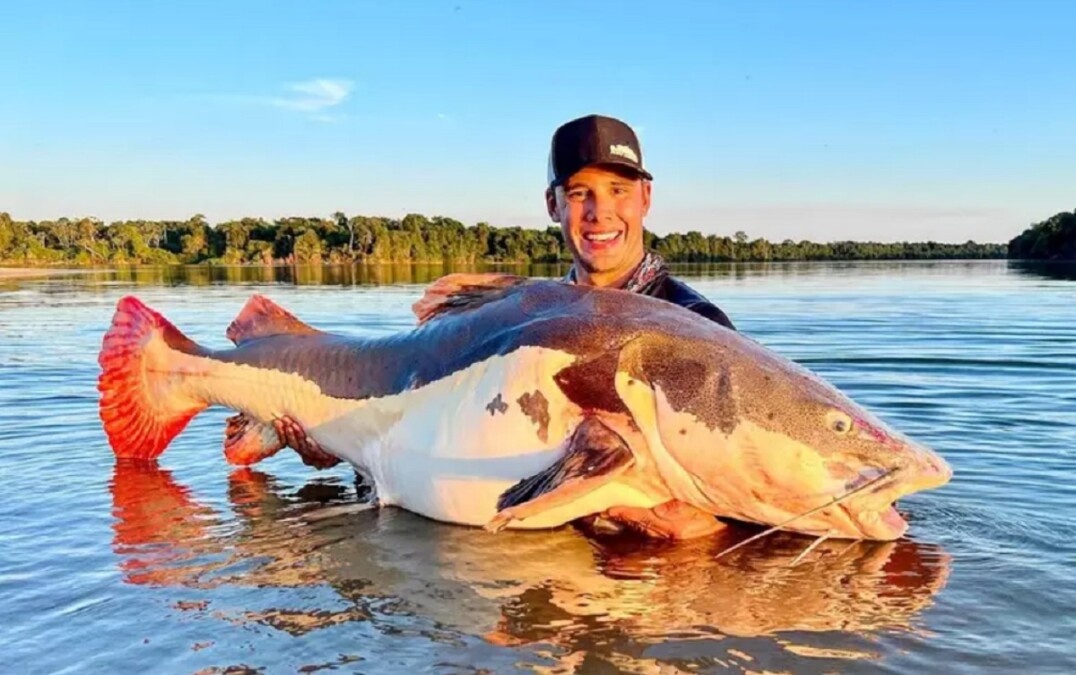 Goiano pesca pirarara de 70 kg