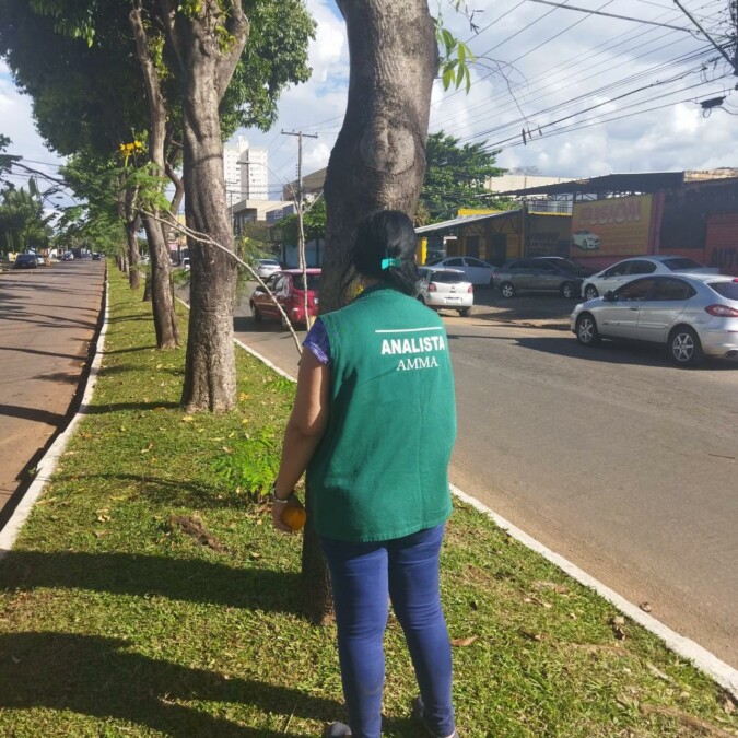Prefeitura de Goiânia autoriza retirada de 61 jamelões na Avenida Sonemberg