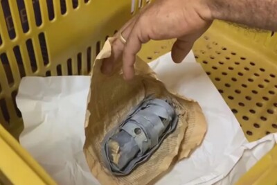 Técnicos da UFG encontram possível material radioativo a almoxarifado da instituição