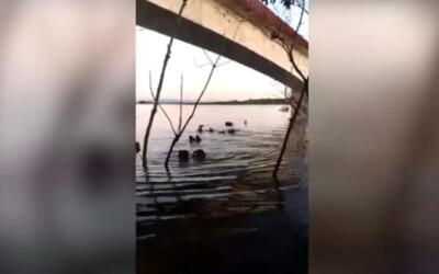 Canoa afunda no Lago Serra da Mesa com 9 pessoas a bordo