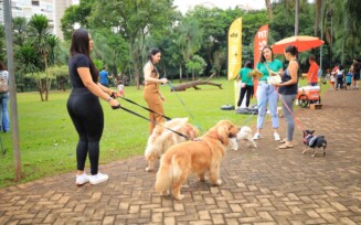 1ª Cãominhada de Goiânia ocorre neste domingo com presença da primeira-dama Thelma Cruz