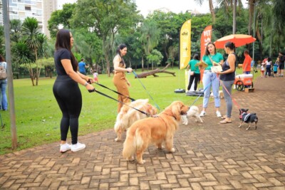 1ª Cãominhada de Goiânia ocorre neste domingo com presença da primeira-dama Thelma Cruz