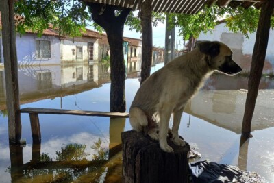 Rompimento de barragem alaga 23 casas e deixa 32 desalojados no Ceará