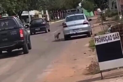 Homem é flagrado arrastando cachorro por corda enquanto conduzia um veículo em Porangatu
