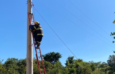 Pirenópolis: homem é resgatado após sofrer descarga elétrica em poste Durante o atendimento, o homem encontrava-se inconsciente