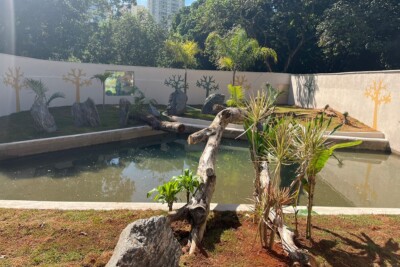Zoológico de Goiânia inaugura recinto para acolher lontras Alexa e Cléo