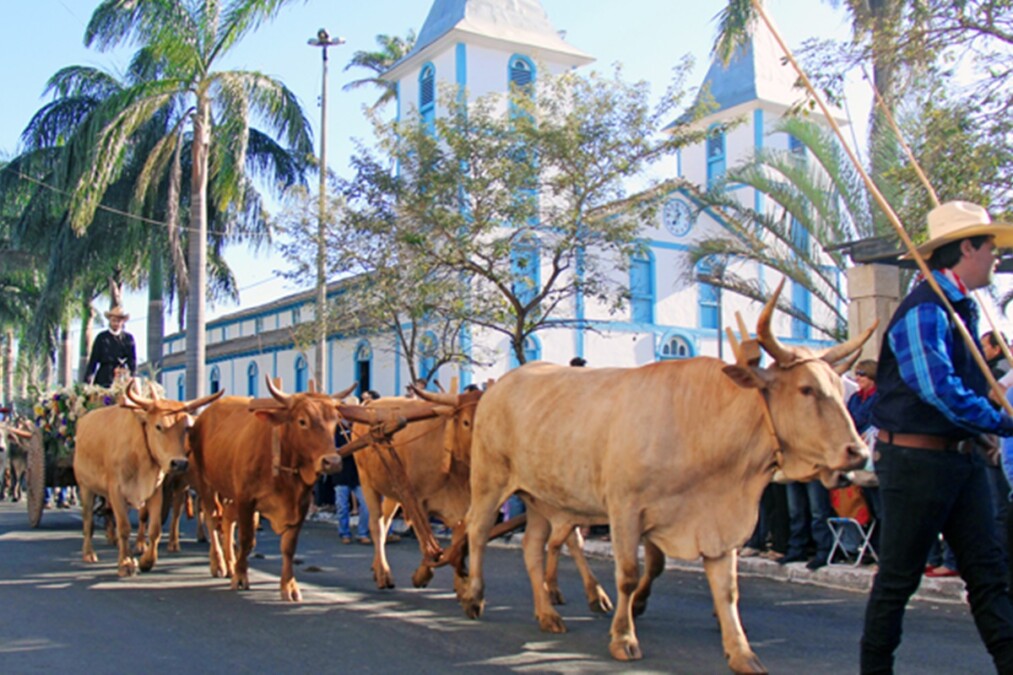 Desfile de carros de boi na Romaria de Trindade pode virar patrimônio cultural
