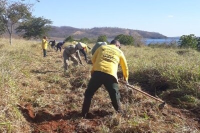 Janela para solicitação de queima controlada em Goiás fecha em 30 de junho
