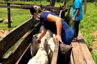 Vacinação do rebanho contra a raiva vai até 31 de maio, lembra governo de Goiás