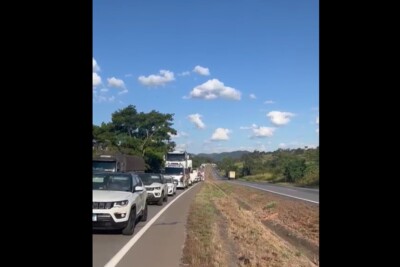 Carreta com bois tomba entre Morrinhos e Professor Jamil e interdita via