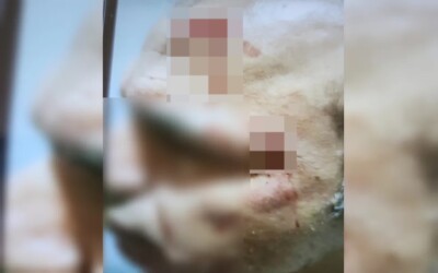 Preso homem que tentou matar vizinho com golpes de enxada por causa de som alto, em Guapó irmão da vítima com uma barra de ferro