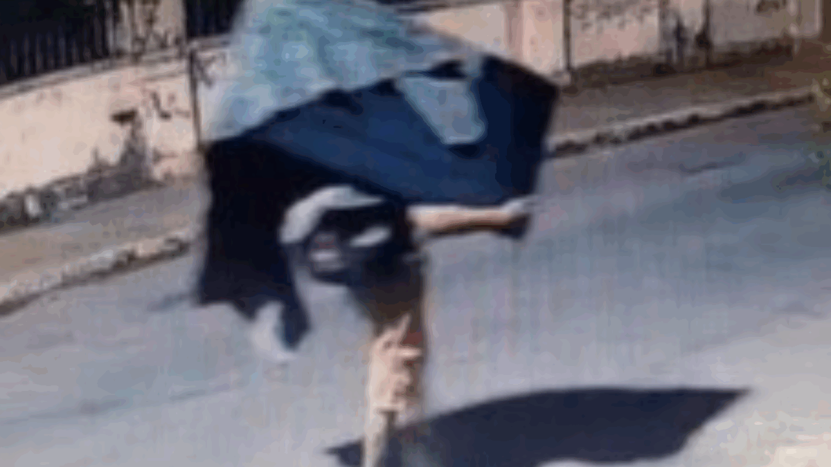 Homem é preso por furtar TV, celulares e notebook de escola em Goiânia (Foto: Reprodução)