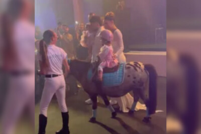 Pônei defeca em aniversário da filha de Virginia e Zé Felipe e vira a estrela da festa; vídeo Maria Alice