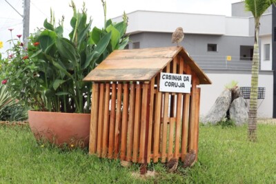 Goiânia recebe casinhas de corujas buraqueiras em espaços públicos