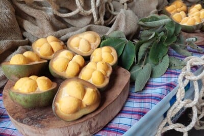 Pequi sem espinhos: veja como se cadastrar no formulário para aquisição de mudas Para adquirir uma árvore, é cobrado o custo de R$ 50