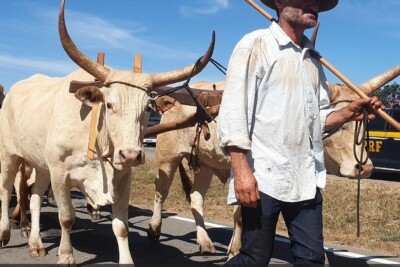 PRF auxilia travessia de carreiros na BR-153, em Hidrolândia, rumo a Festa do Divino Pai Eterno