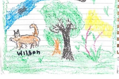 Crianças sobreviventes de acidente aéreo na Colômbia desenham cão Wilson