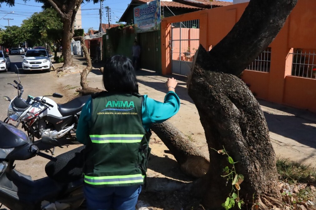Fiscalização Ambiental autua proprietário de imóvel por retirada irregular de árvore no Centro de Goiânia