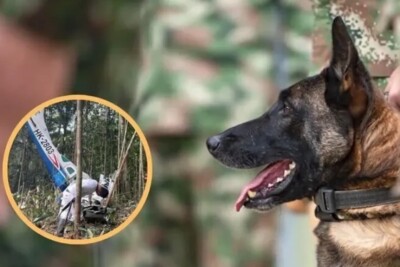 Indígena que ajudou nas buscas por crianças perdidas diz que cão Wilson foi levado como oferenda