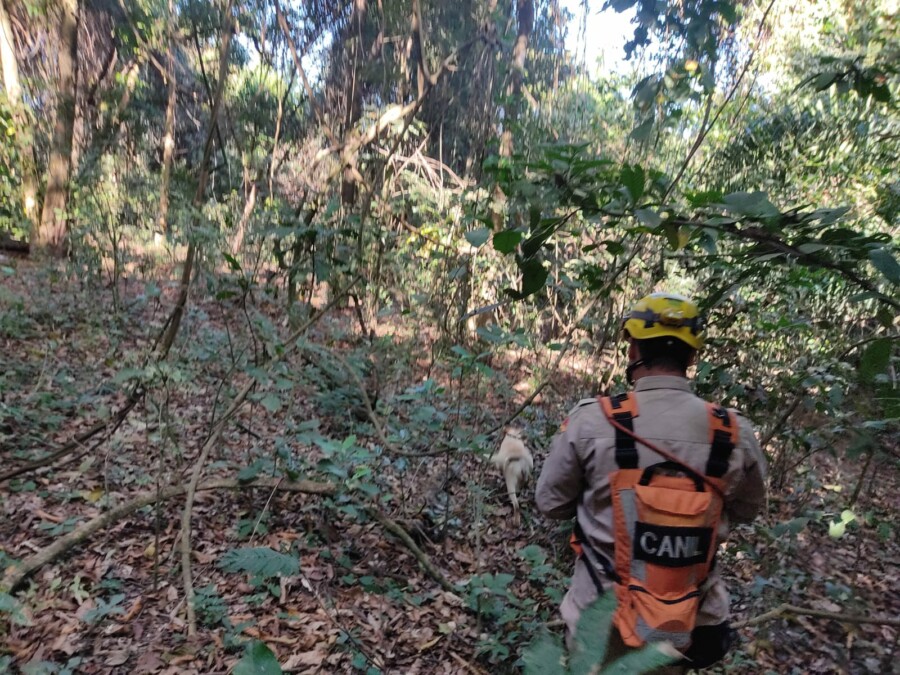 Foto: Divulgação / Corpo de Bombeiros