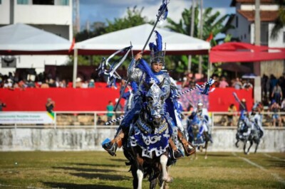 Interrelação entre os biomas Cerrado e Amazônia é tema destaque no Fica 2023 Confira a programação completa