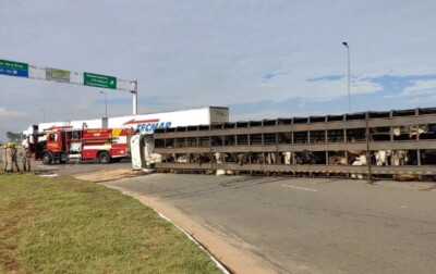 (Foto: Divulgação / Corpo de Bombeiros)