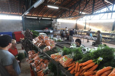 Preços da cenoura e mamão caem nos principais mercados atacadistas, entre eles Goiás