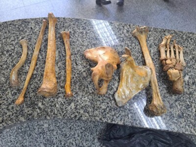 Homem é preso no Rio de Janeiro suspeito de vender ossos humanos O material passará por uma perícia do Instituto Médico Legal (IML)