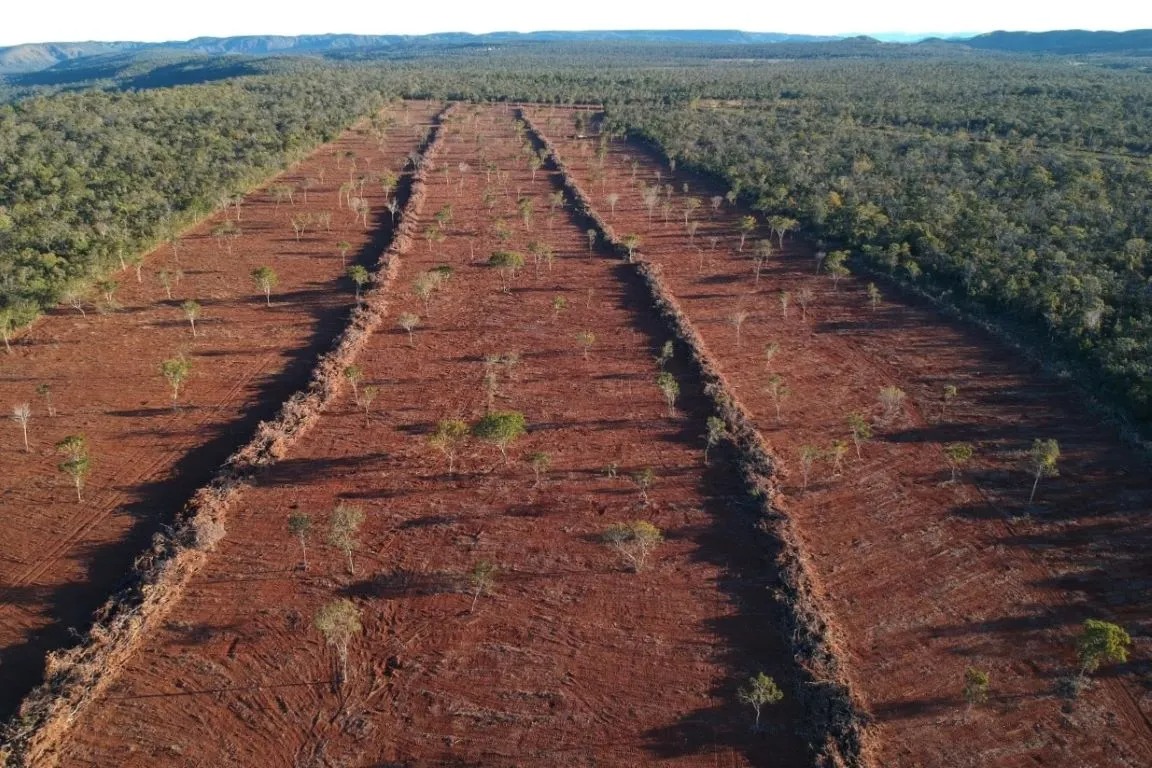 Desmatamento em Goiás (Foto: Divulgação)