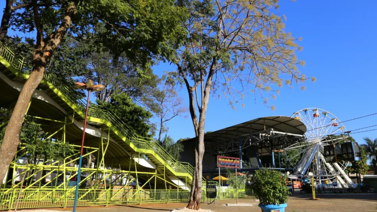 Goiânia: árvore cai sobre telhado do bate-bate do Parque Mutirama durante a chuva