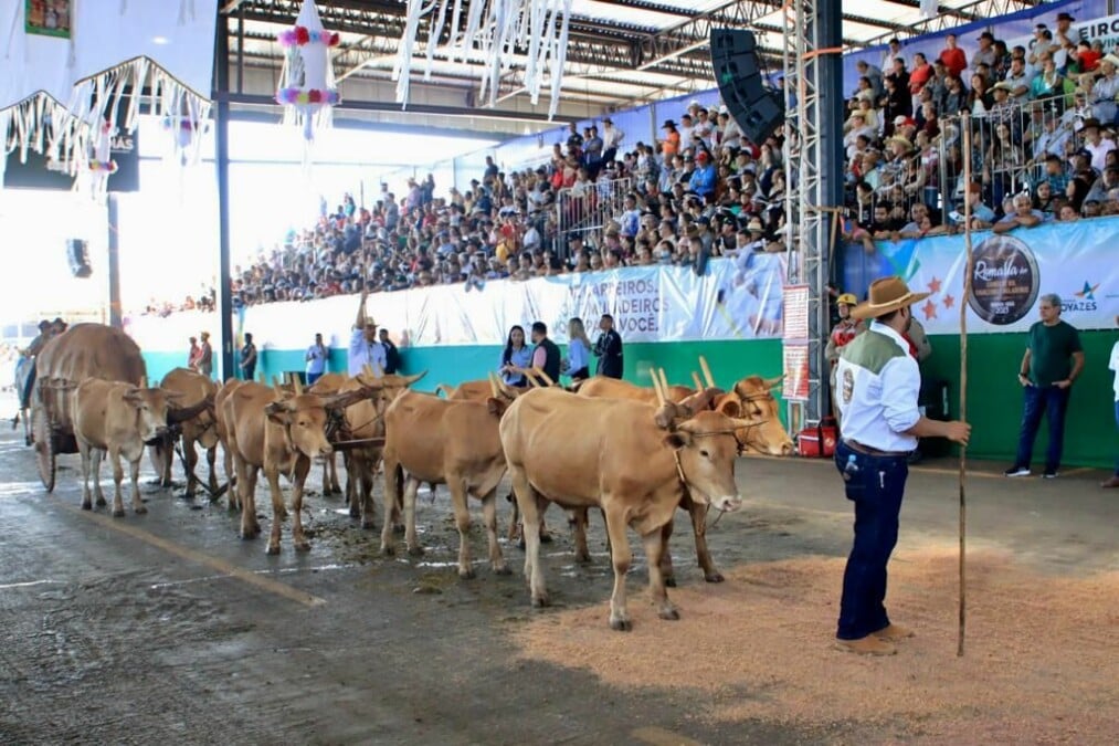 Desfile de carros de boi em Trindade atrai multidão de políticos, além de romeiros
