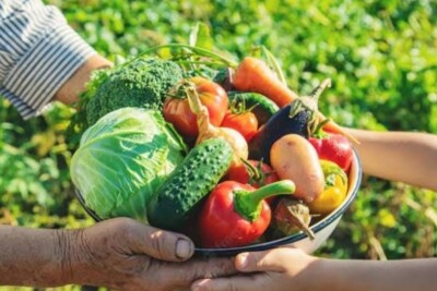 Prefeitura de Goiânia faz chamamento público para adesão ao Programa de Aquisição de Alimentos