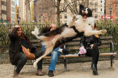 "Latidos", do fotógrafo Chris PorszChris Porsz / Comedy Pets / Divulgação