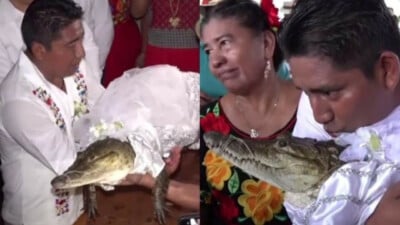 Prefeito se casa com crocodilo em cerimônia por prosperidade no México Victor Sosa é prefeito de San Pedro Huamelula