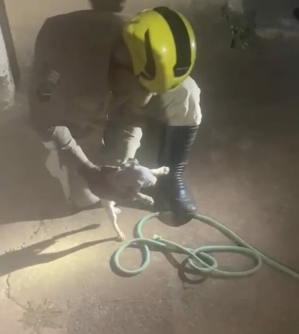 Foto: Divulgação / Corpo de Bombeiros