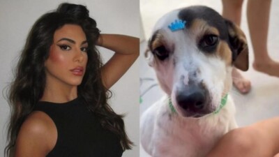 Pétala Barreiros é criticada após doar cachorro: 'Não tem espaço pra ele' Influencer deu o animal para o pastor da igreja que frequenta