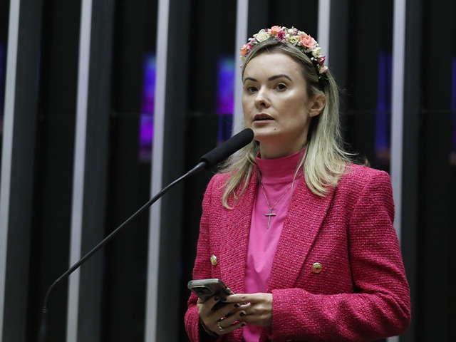 Deputada Júlia Zanatta (Foto: Câmara dos Deputados)
