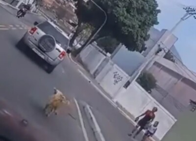 Cachorro é abandonado por motorista e corre desesperado atrás do carro