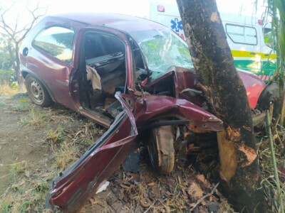 Colisão contra árvore ocorreu após saída de pista, em Nova Glória (Foto: Divulgação / Polícia Rodoviária Federal)