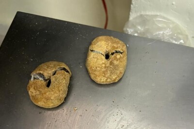 Mãe é flagrada ao tentar repassar droga para detento em Aparecida