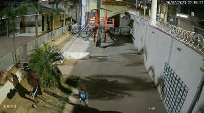 Advogado diz que mulher rasgou testículos do marido para se defender