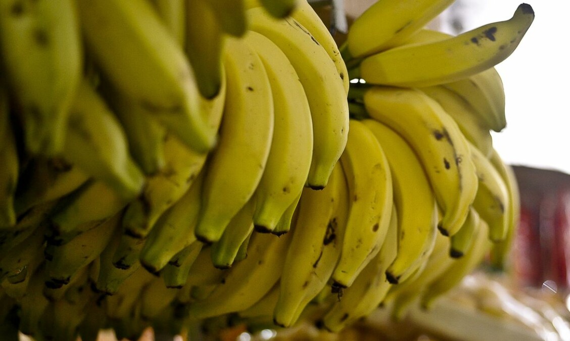 Procon Goiânia aponta variação de até 350% em itens da cesta básica