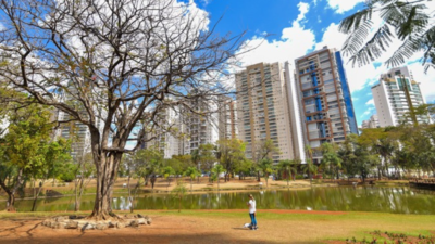 Goiás entra em estado de alerta com umidade abaixo de 20%, diz Cimehgo