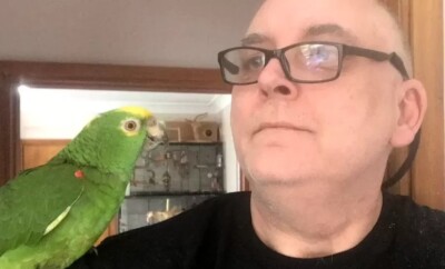 Polícia corre para socorrer mulher, mas encontra papagaio barulhento Polícia da Inglaterra enviou três viaturas para a missão vídeo