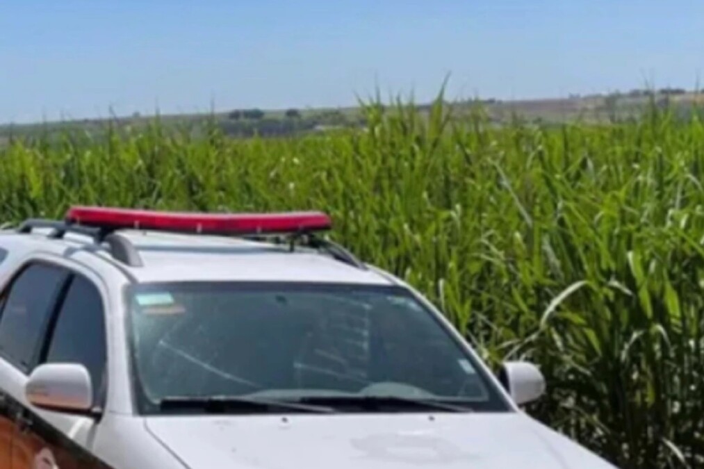Rianápolis: homem diz que foi torturado em canavial após suruba