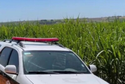 Rianápolis: homem diz que foi torturado em canavial após suruba