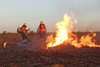 Bombeiros atendem mais de 160 ocorrências de incêndio na Chapada dos Veadeiros em 45 dias