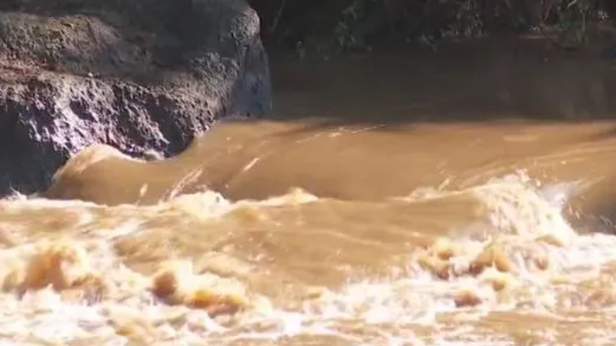 Moradores reclamam de lama e morte de peixes no Rio Meia Ponte, em Piracanjuba