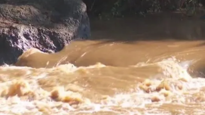 Moradores reclamam de lama e morte de peixes no Rio Meia Ponte, em Piracanjuba