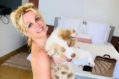 Britney Spears é criticada por ONG de proteção aos animais